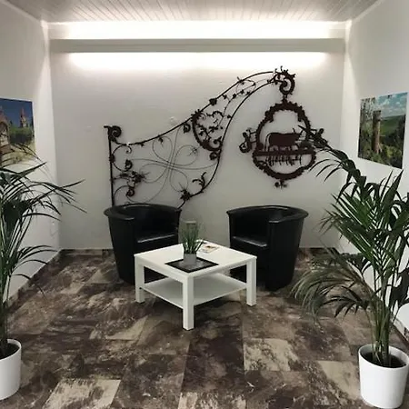 Hotel Zum Ochsen 3*